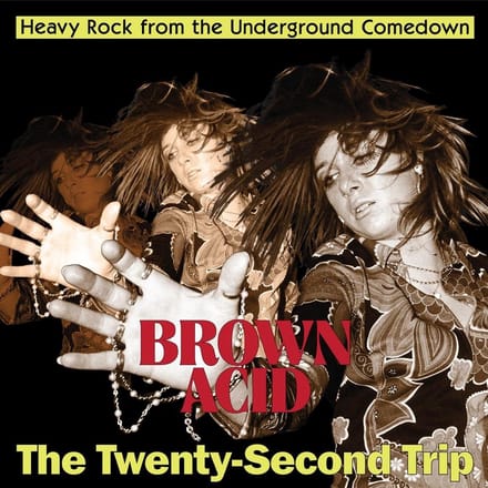 Various Artists - Brown Acid: The Twenty-Second Trip (LP)