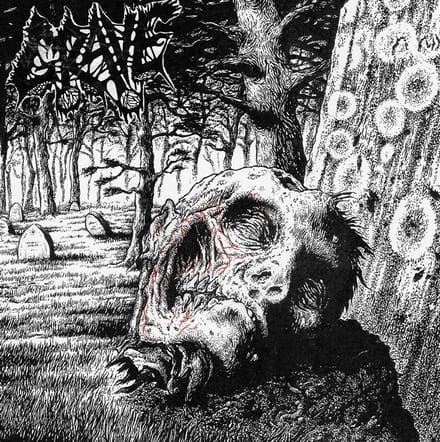 Necropsy