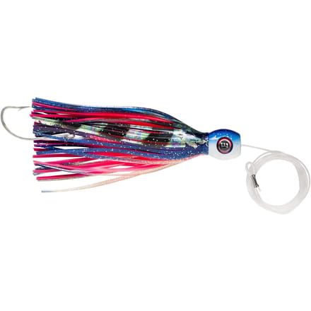Lok Williamson Hspeed Sailfish