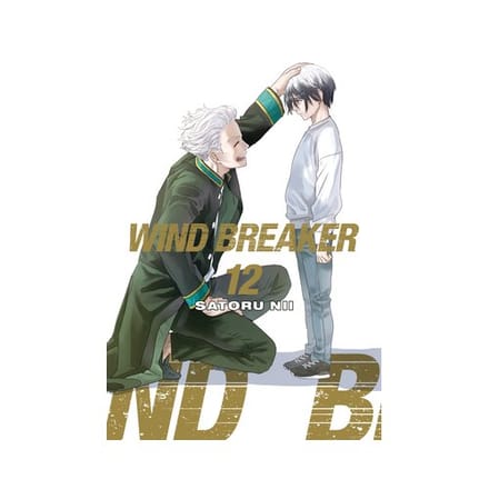 Wind Breaker 12 - Wind Breaker - Satoru Nii