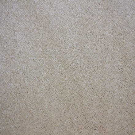 Vloerkleed Xilento Soft Koren | 170 x 230 cm