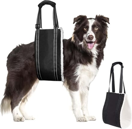 Famanu – Honden draaghulp, verstelbare comfortabele tilriem voor honden, sterk en waterdicht