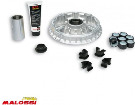 malossi snelheidsregelaar voor scooter mbk 400 skyliner 2004-2008 5113595 / h317e nieuw