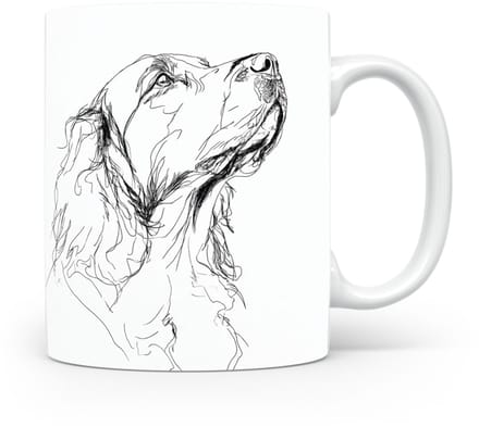 Beker Gordon Setter