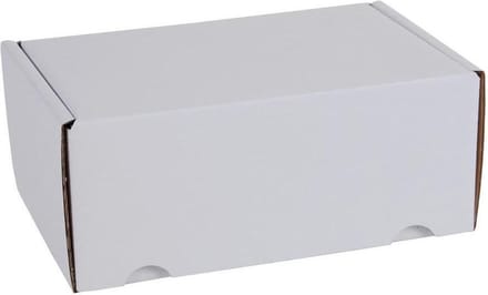 25 ecologische witte postdozen / verzenddozen 26x19x10cm