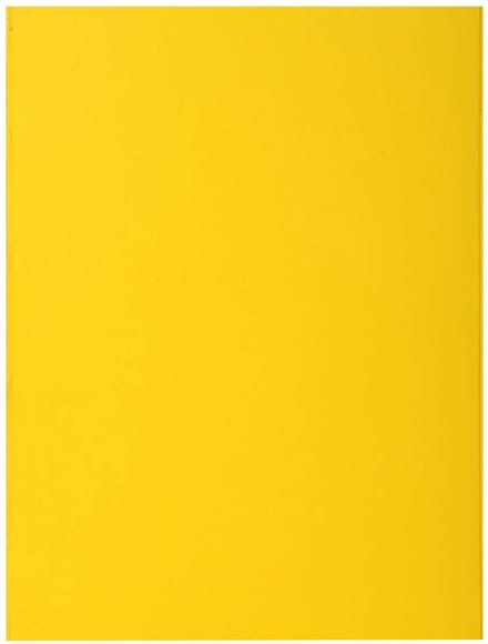 Exacompta ROCK''S 210 Pak van 100 dossiermappen 210g/m2 24x32cm voor A4. - Citroengeel - 210011E