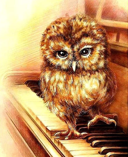 Diamond painting 40x50cm - uiltje - ronde steentjes
