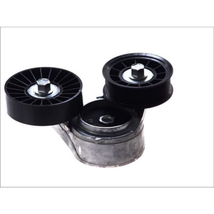 Riemspanner, Poly V-riem DAYCO APV2493