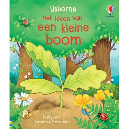 Het Leven Van Een Kleine Boom