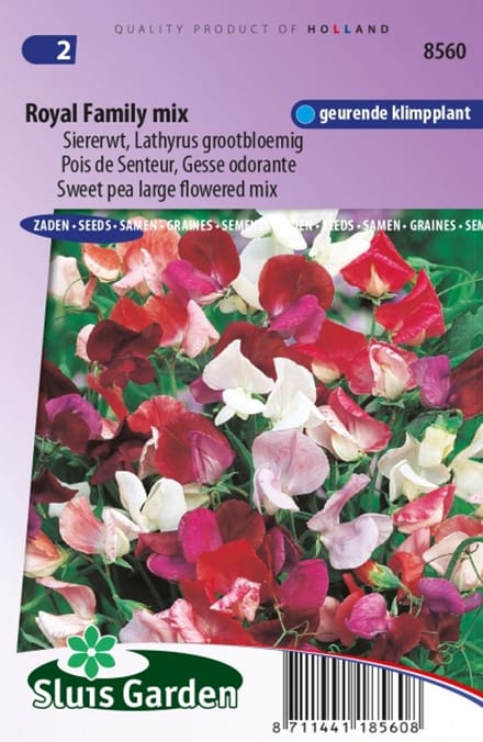 Geurerwt, Siererwt Royal Family Mix (Lathyrus odoratus)