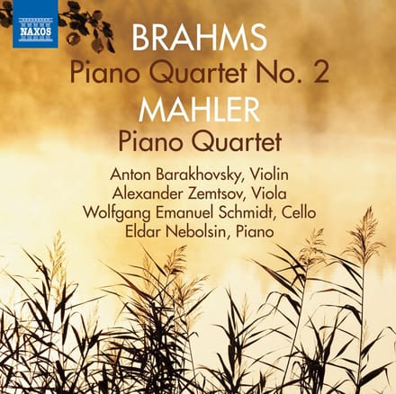 Eldar Nebolsin & Anton Barakhovsky & Alexander Zemt - Piano Quartet (CD)