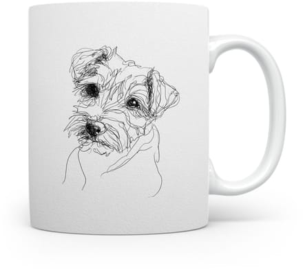Beker Norfolk Terrier