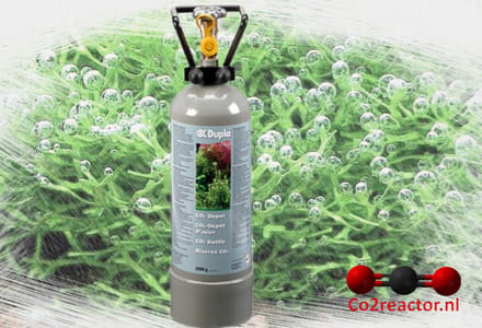 Dupla CO2 Depot 2000 Gram