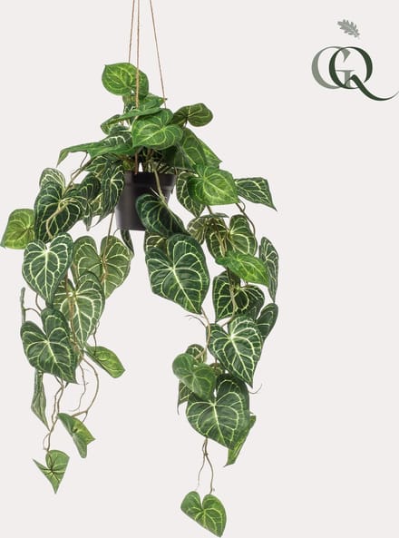 Kunstplant - Anthurium Clarinervium - Aderplant - 80 cm