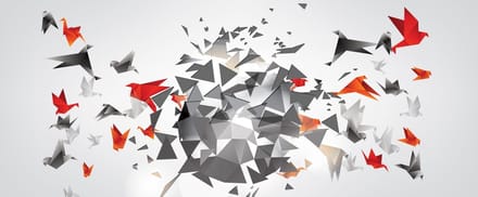 Explosion Birds Abstract Photo Wallcovering