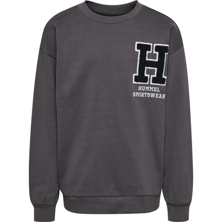 Hummel kindersweatshirt Hmlallton 225158