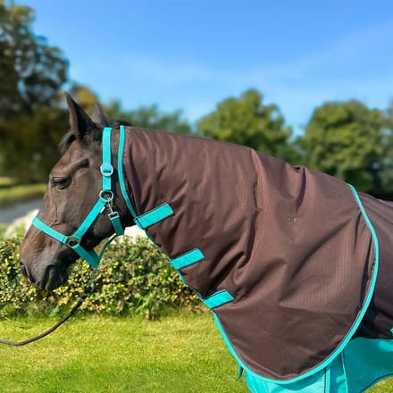 Nekbeschermer voor paarden York