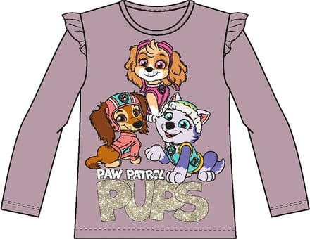 Name it Top Paw patrol
