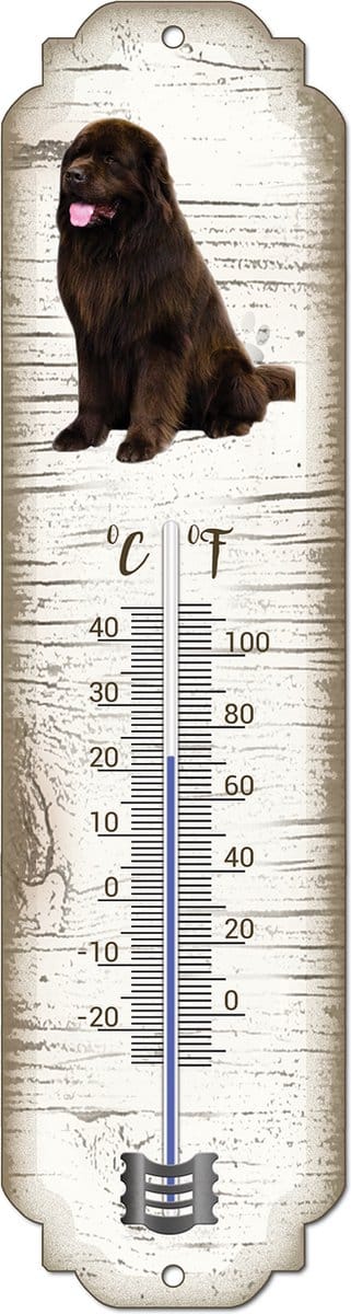Thermometer: Newfoundlander | Hondenras | Temperatuur binnen en buiten | -25 tot +45C