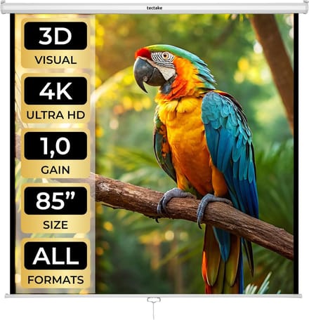 Projectiescherm - Beamer Scherm - Home Cinema - Zonder Kreukels - 152 x 152 cm - Wit