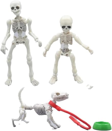 3 Delige Set Beweegbare Mini Skelet Modellen met Hond Beeldjes Decoratie