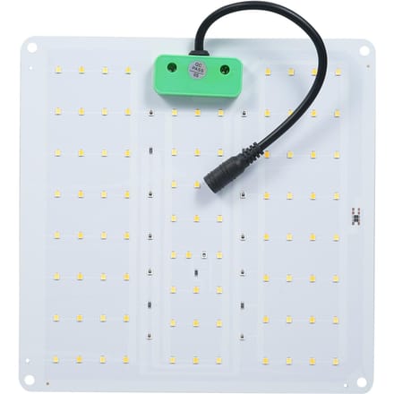 Volledig Spectrum Groeilicht LED Indoor Plant Aanvullend Licht 3000K 5000K IR UV Groeilicht voor Groen US