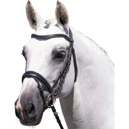 Teugels voor paard Premier Equine Cassano
