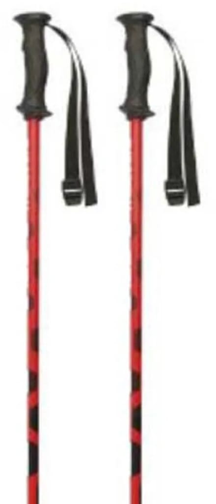 Masters Carbon Rtl Stokken Zilver 125 cm