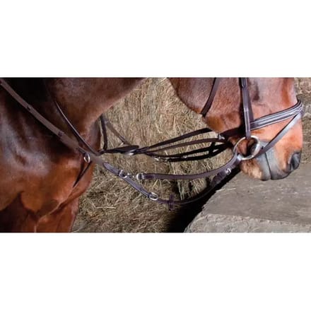 Elastisch paardenhoofdstel voor howlett paarden T de T