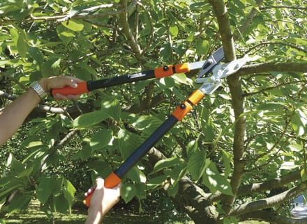 Garten Primus Heggenschaar