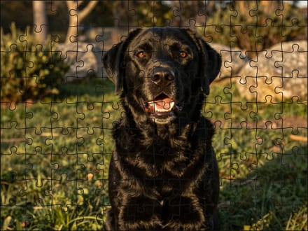 Puzzel Zwarte Labrador Retriever | 120 stukjes | Dierenpuzzel | Hondenpuzzel