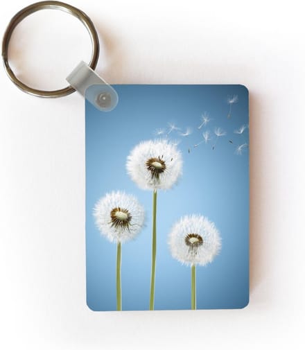 Sleutelhanger - Illustratie - Paardenbloem - Zaden - Uitdeelcadeautjes - Plastic