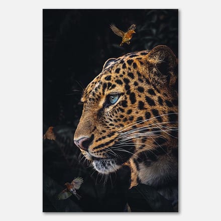 Schilderij op canvas - 60 x 90 cm - Luipaard met vogels in het donker - PosterJunkie