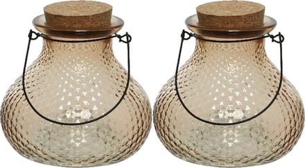 Decoris wespenvanger/wespenval - set 2x - glas - lichtbruin - D14 x H13 cm