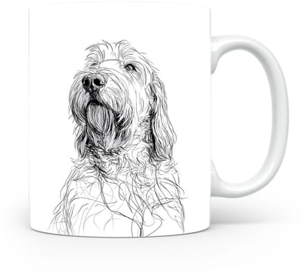 Beker Otterhound