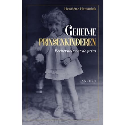 Geheime Prinsenkinderen - Henriëtte Hemmink