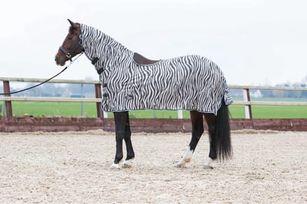 Harry Horse Vliegenrijdeken Zebra - maat 165