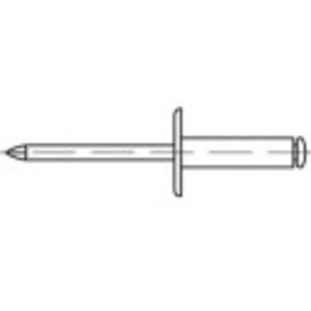 TOOLCRAFT 160149 Open popnagel (Ø x l) 4 mm x 12 mm Aluminium Staal 500 stuk(s)