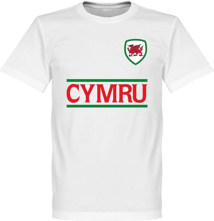 Wales Team T-Shirt - M