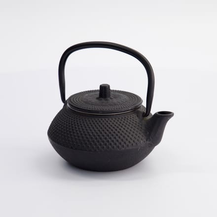 Tokyo Design Studio Arare theepot 0.35 l - zwart