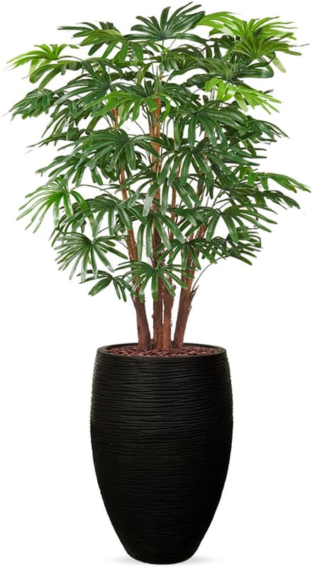 Kunstplant Fortuneipalm in Vaas elegant Deluxe rib zwart H150 cm