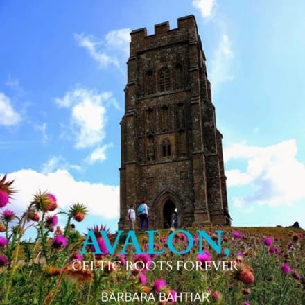 Avalon, Roses Of England - Barbara Bahtiar