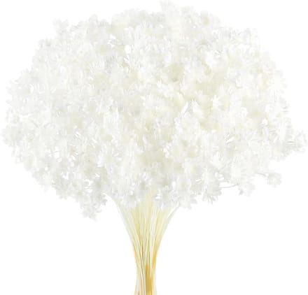 Solidchoice - 300 Stuks Gedroogde Bloemen voor Decoratie en Creativiteit