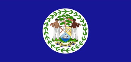 Vlag Belize 70x100cm