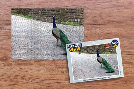Puzzel Pauw - Veren - Stenen - Legpuzzel - Puzzel 500 stukjes
