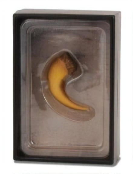 COLLECTA Figurine Gift Set - Baryonyx Klauw