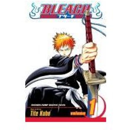 Bleach Deel. 1 door Tite Kubo Paperback Boek 9781591164418