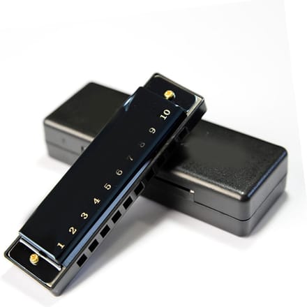 Harmonica 10 Trous Noir Brillant Léger Pratique Gamme Complète pour la Performance black