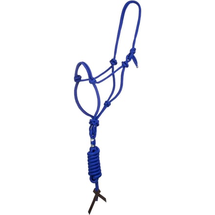 Nylon halster met longe voor paard Pool's