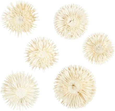 Gedroogde bloemen. d: 3-5 cm. 6 stuk/ 1 doos